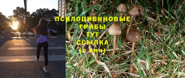 индика Липки