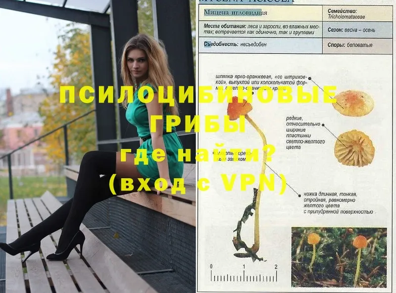 Псилоцибиновые грибы GOLDEN TEACHER  что такое   Липки 