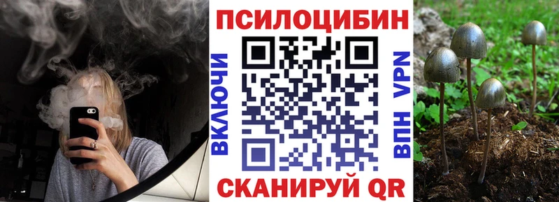 Галлюциногенные грибы MAGIC MUSHROOMS  Липки 